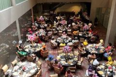 Atrium-Ladies-Living