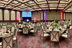 Picasso-Pets-24-Beeson-Hall